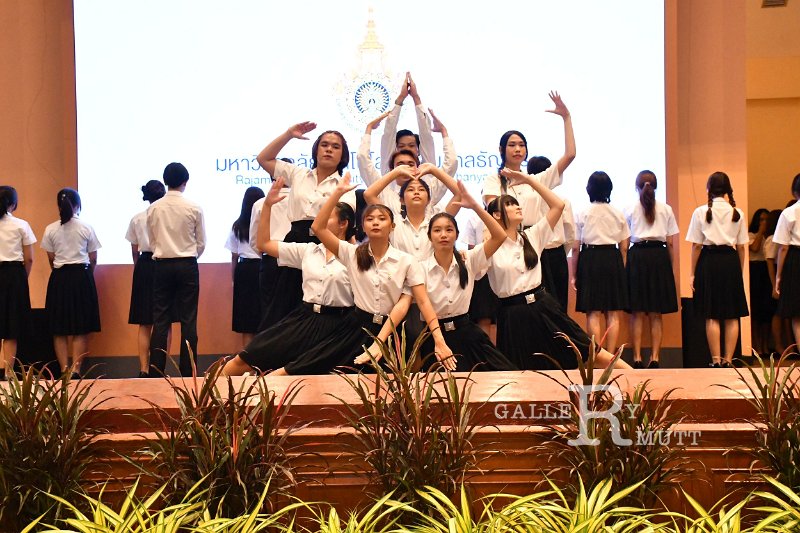 20231006-Identity-139.JPG
