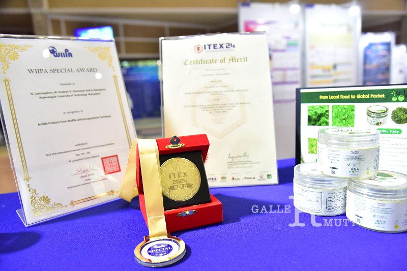20240716-RMUTT-Research-and-Innovation-110.JPG