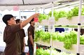20250117-RMUTTOpenhouse2025-309