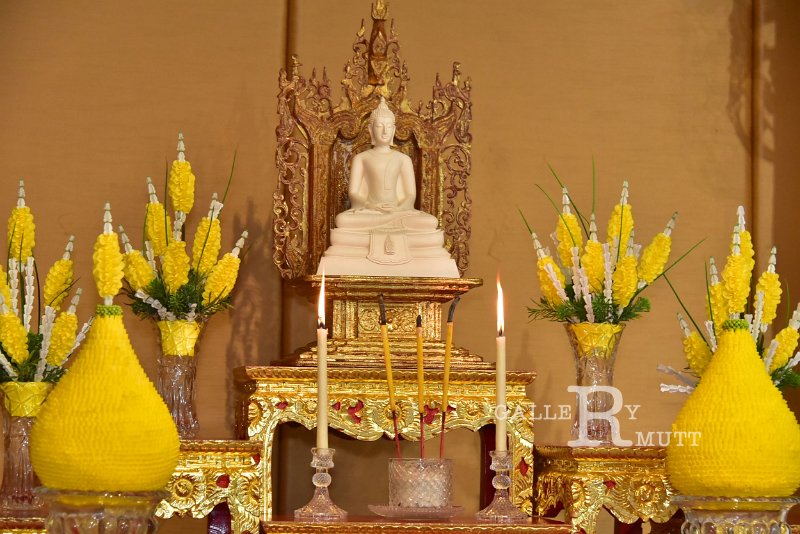 20260811-Mother's-Day_293.JPG