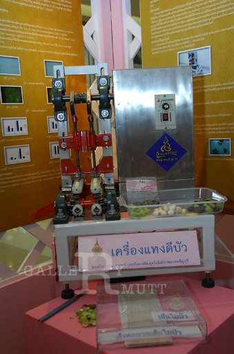 DSC_0047.JPG