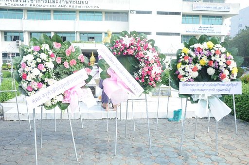 DSC_4724.JPG