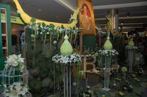DSC_0022.JPG