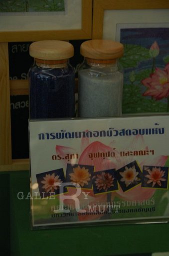 DSC_0041.JPG