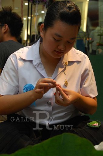 DSC_0113.JPG