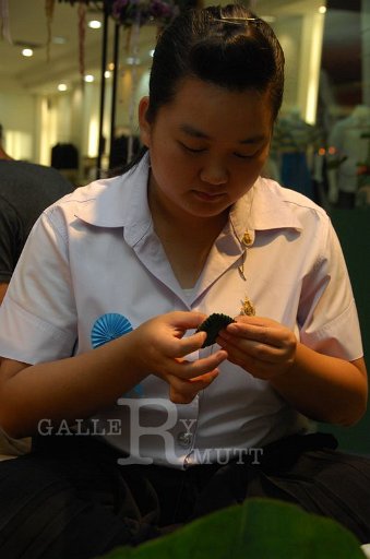 DSC_0114.JPG