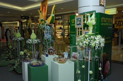 DSC_0137.JPG