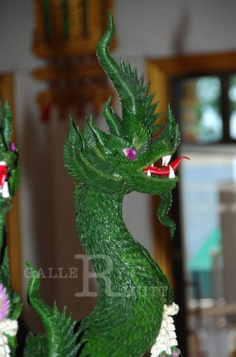 DSC_0076.JPG