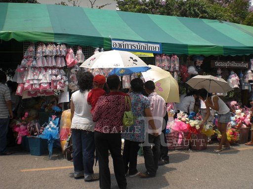 CIMG0051.JPG