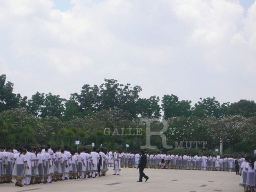 P1100002.JPG
