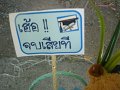 DSC00099