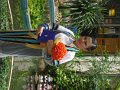 DSC00121