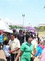 P1090736