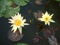 DSCF0284