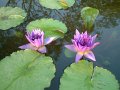 DSCF0285