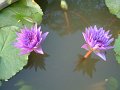 DSCF0286