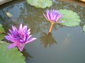DSCF0287