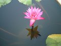 DSCF0289