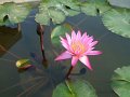 DSCF0290
