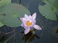DSCF0292