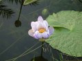 DSCF0293