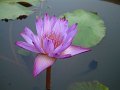 DSCF0295