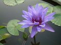 DSCF0296