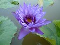 DSCF0297
