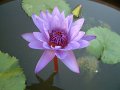 DSCF0298