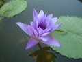 DSCF0299