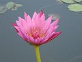 DSCF0300