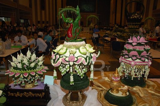DSC_0222.JPG