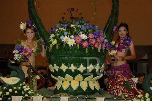 DSC_0253.JPG