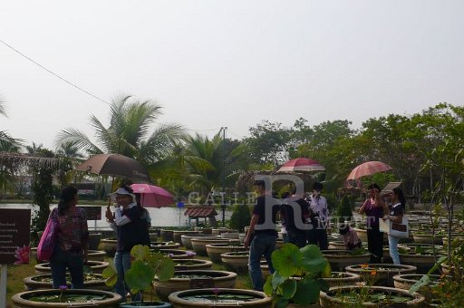 P1170478.JPG