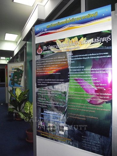 DSCF2708.JPG