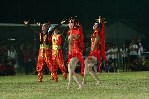 IMG_1154.JPG