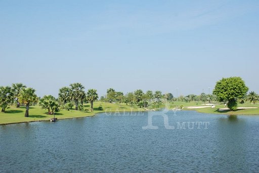 DSC_0202.JPG