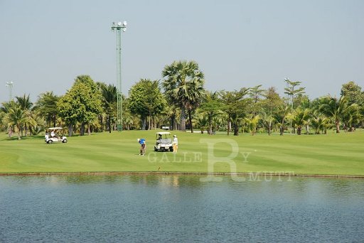 DSC_0203.JPG