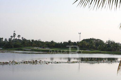 IMG_3145.JPG