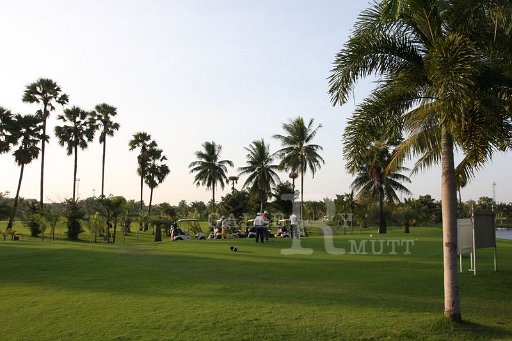 IMG_3146.JPG