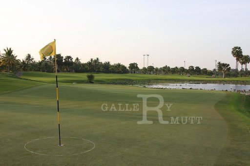 IMG_3181.JPG
