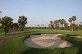 IMG_3135
