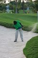 IMG_8904