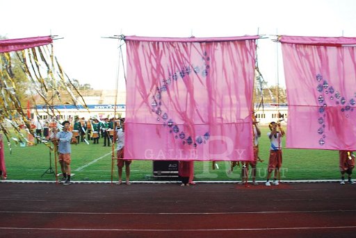 DSC_0322.JPG