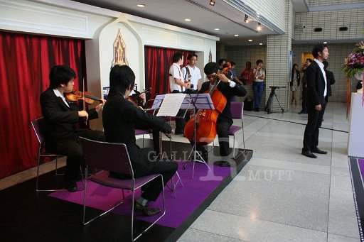IMG_3007.JPG