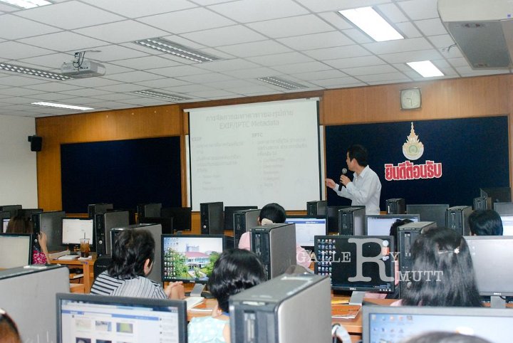 N56-02-05-02.jpg