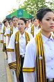 NUT_7095