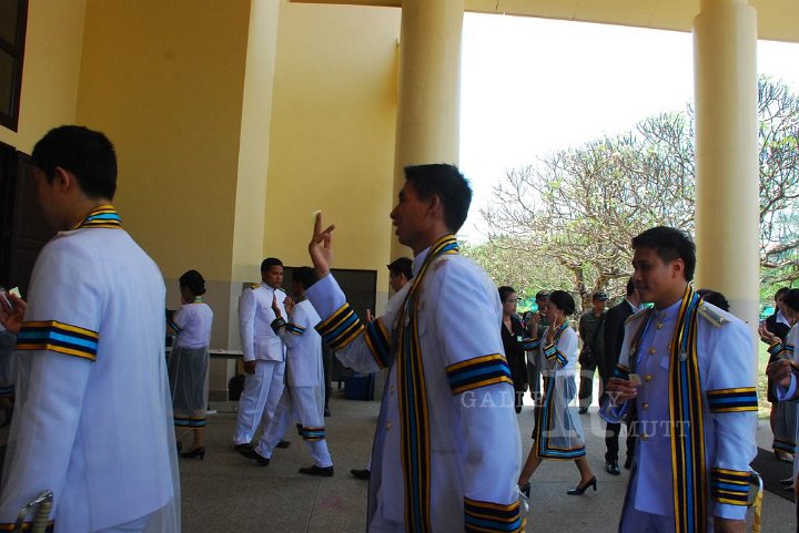 DSC_0445.JPG - rmutt