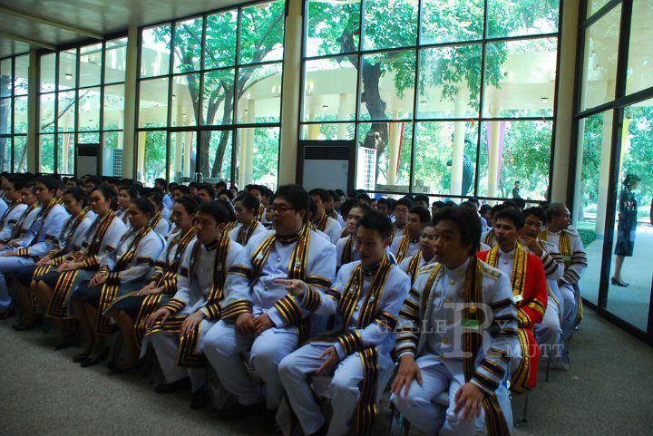DSC_0708.JPG - rmutt