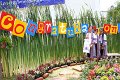 IMG_0268